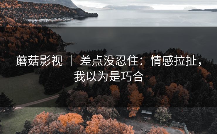 蘑菇影视 ｜ 差点没忍住：情感拉扯，我以为是巧合
