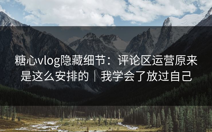 糖心vlog隐藏细节：评论区运营原来是这么安排的｜我学会了放过自己